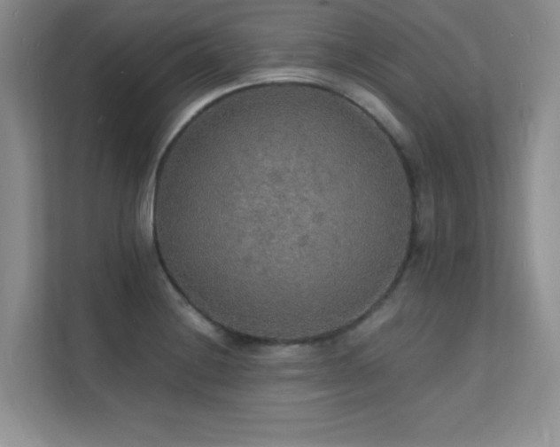 X0000112151228200908071109