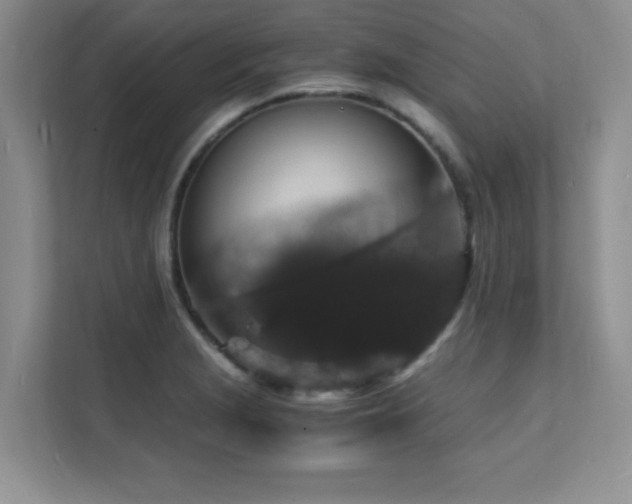 X0000112151229200908071109