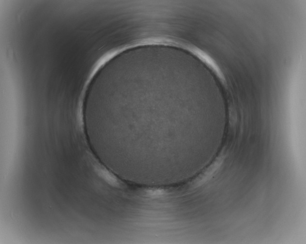 X0000112151230200908071109