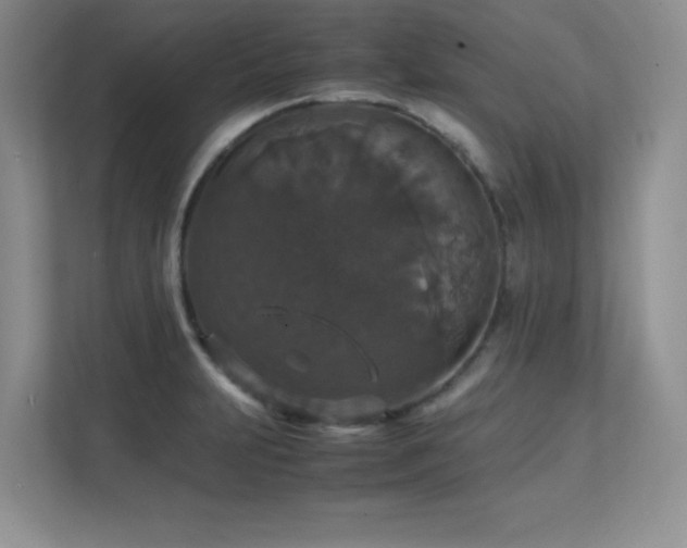 X0000112151231200908071109