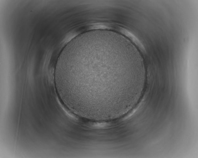 X0000112151233200908071109