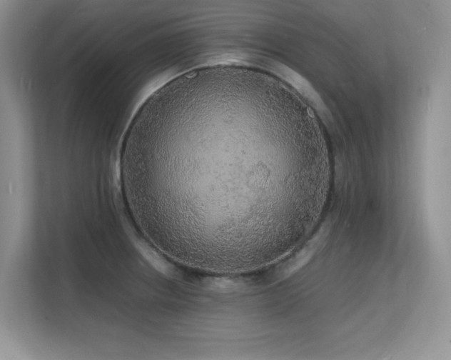 X0000112151234200908071109