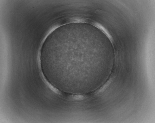 X0000112151235200908071109