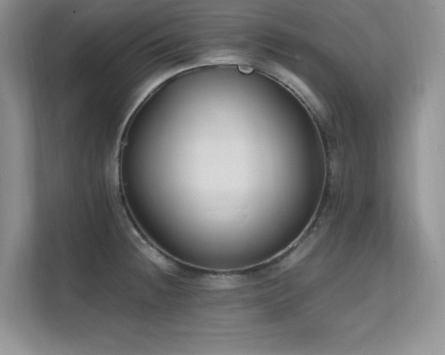 X0000112151236200908071109