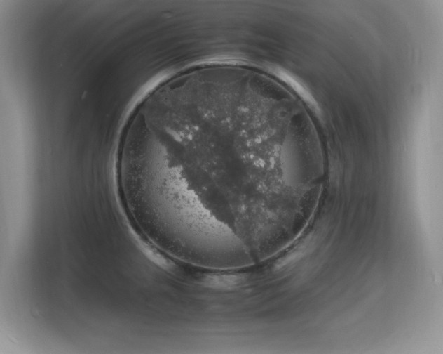 X0000112151237200908071109