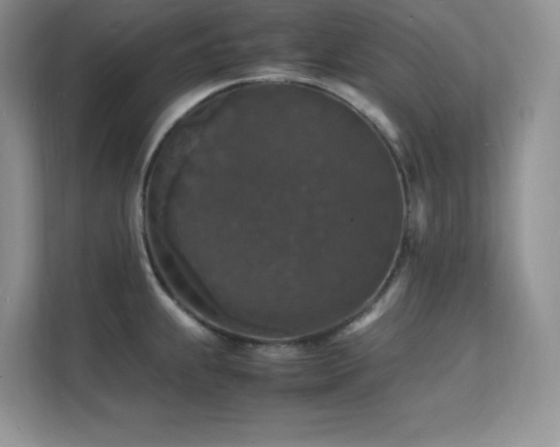 X0000112151239200908071109