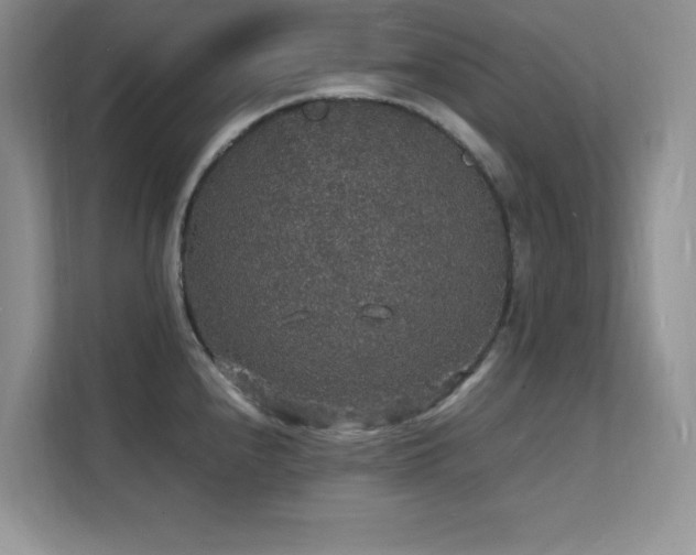 X0000112151240200908071109