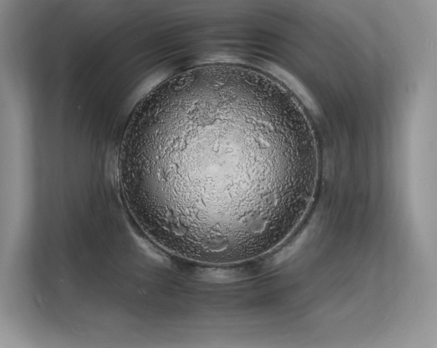 X0000112151241200908071109