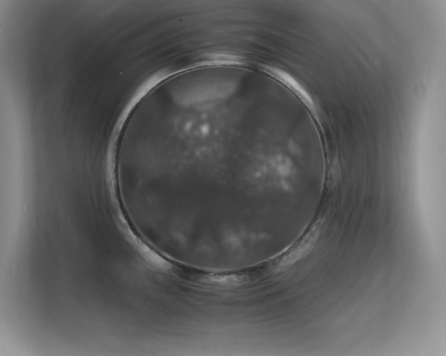 X0000112151243200908071109