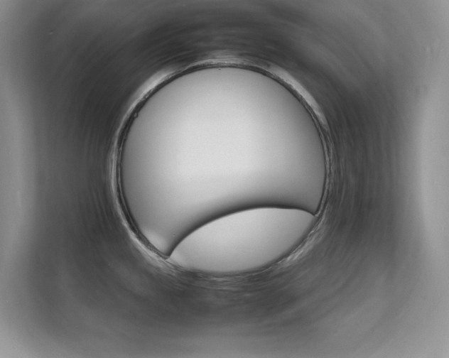 X0000112151245200908071109