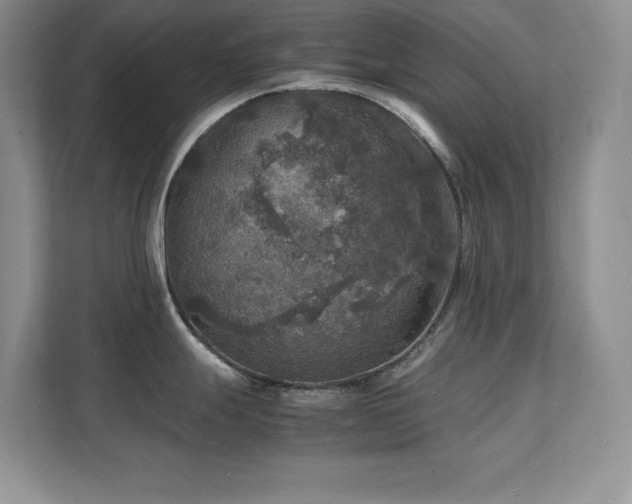 X0000112151247200908071109