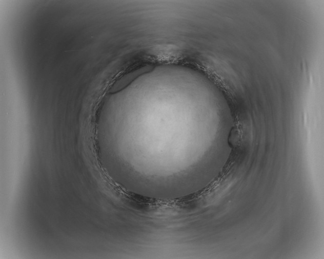 X0000112151249200908071109