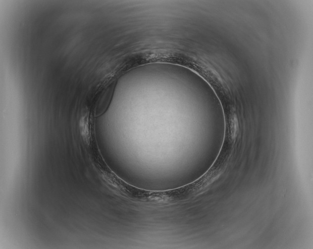 X0000112151250200908071109