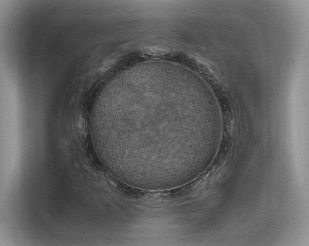 X0000112151253200908071109