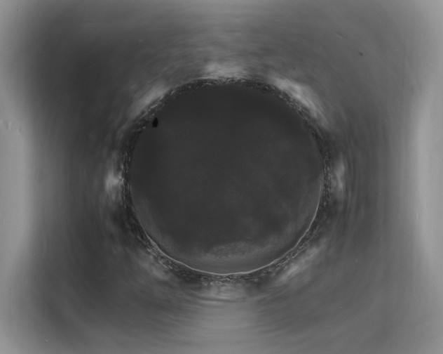 X0000112151254200908071109