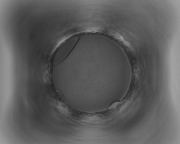 X0000112151256200908071109