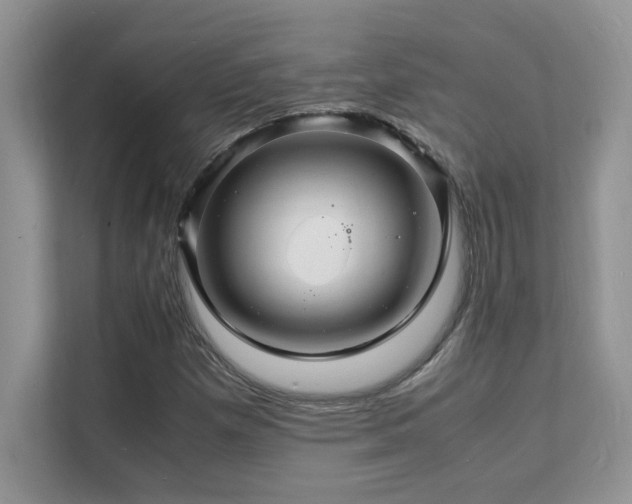 X0000112151257200908071109