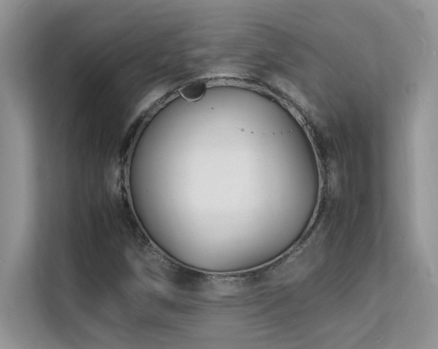X0000112151258200908071109