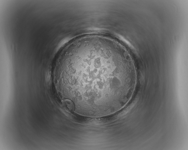 X0000112151259200908071109