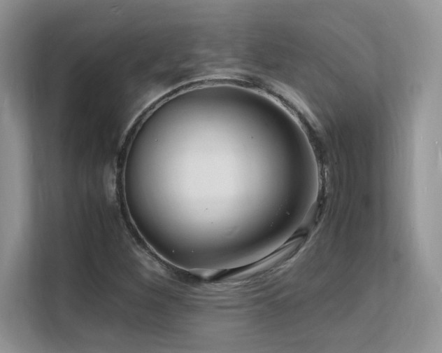 X0000112151260200908071109