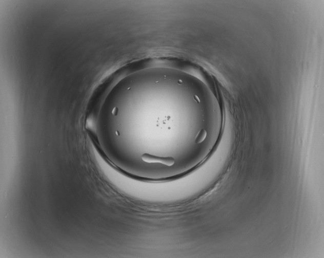 X0000112151261200908071109