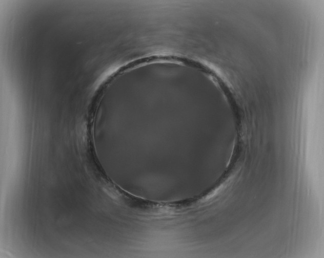X0000112151263200908071109