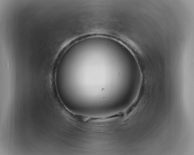 X0000112151264200908071109
