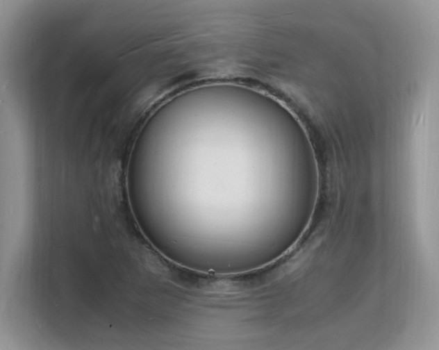 X0000112151265200908071109