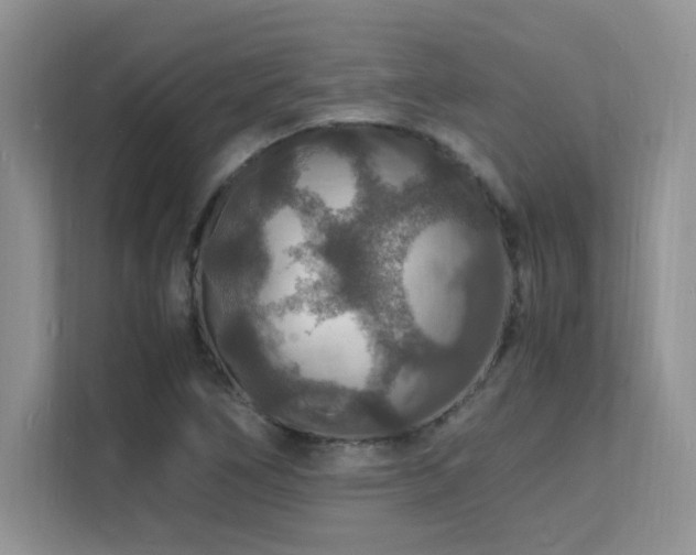 X0000112151266200908071109