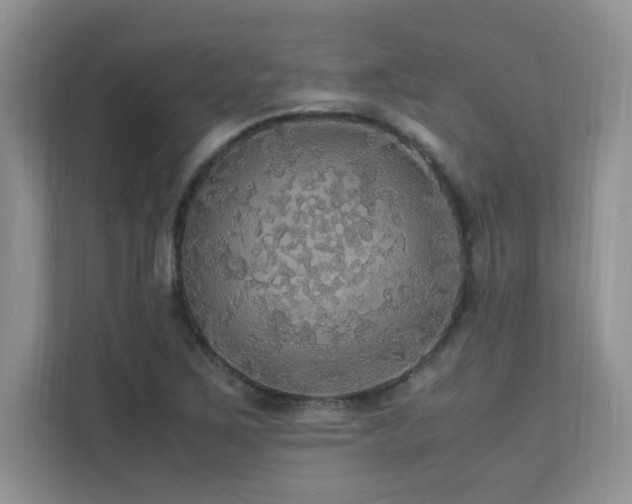 X0000112151267200908071109