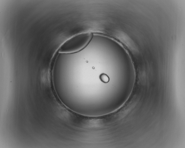 X0000112151268200908071109