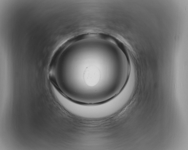 X0000112151269200908071109