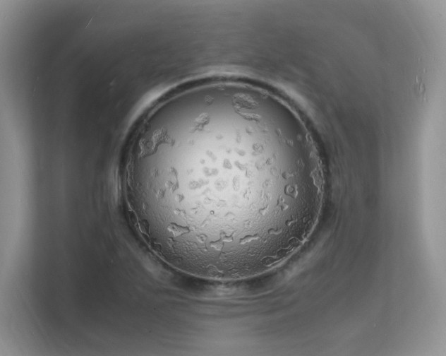 X0000112151271200908071109