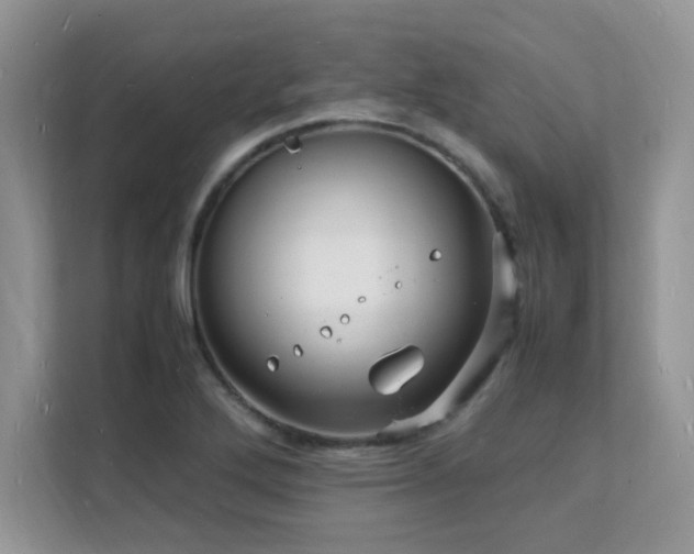 X0000112151272200908071109