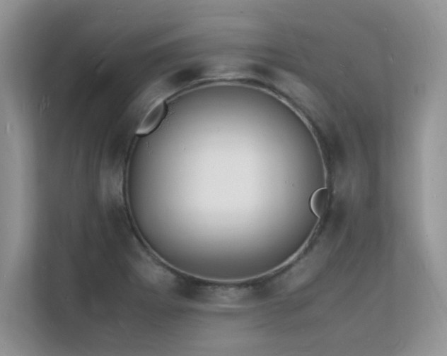X0000112151273200908071109