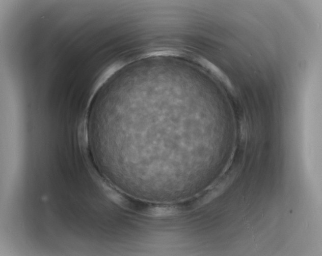 X0000112151274200908071109