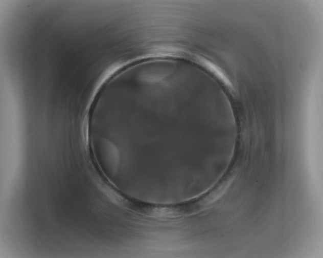 X0000112151275200908071109