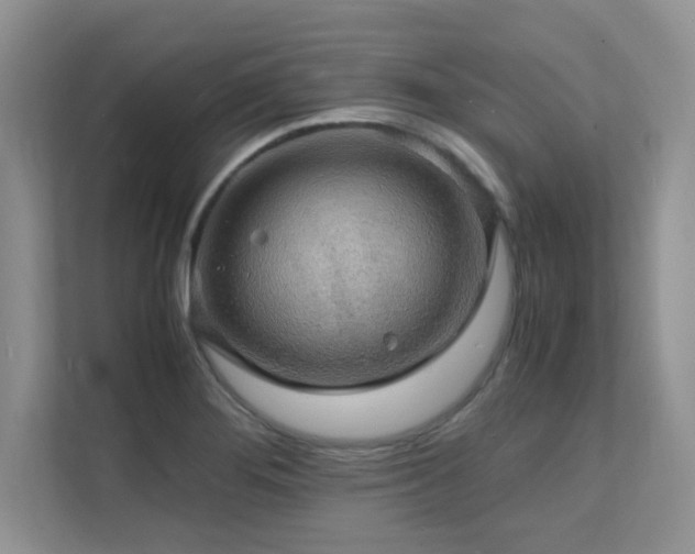 X0000112151276200908071109