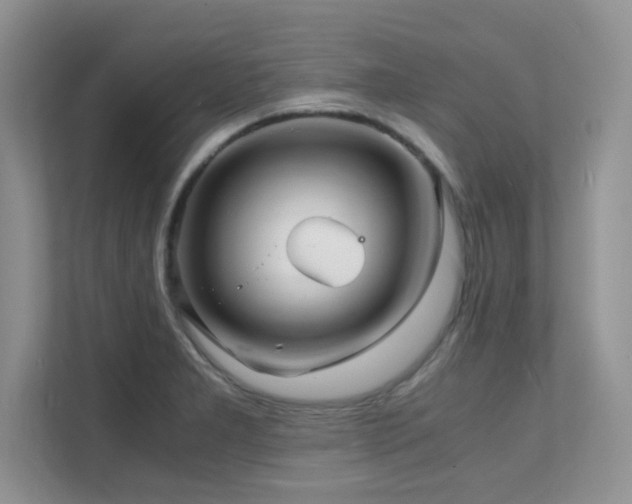 X0000112151277200908071109
