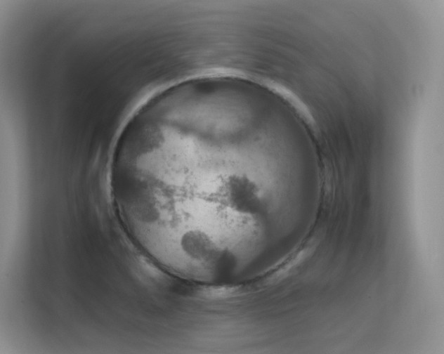 X0000112151278200908071109