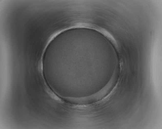 X0000112151280200908071108