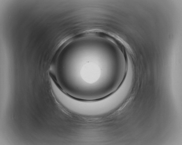 X0000112151281200908071108