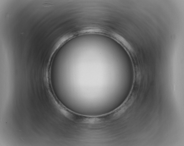 X0000112151282200908071108