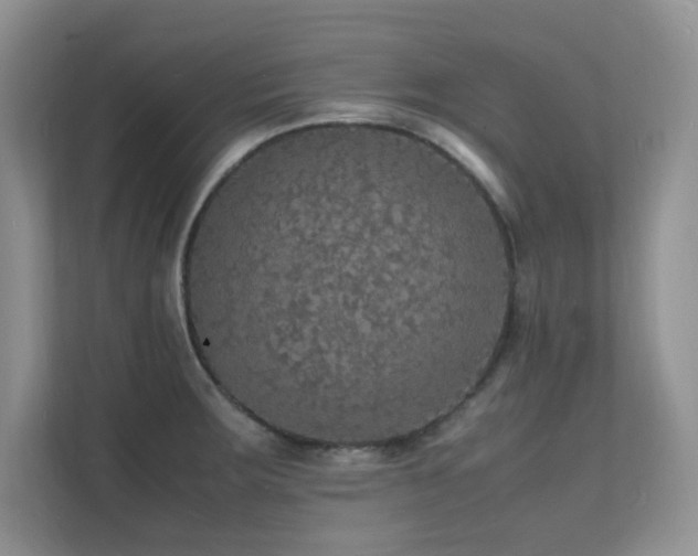X0000112151283200908071108