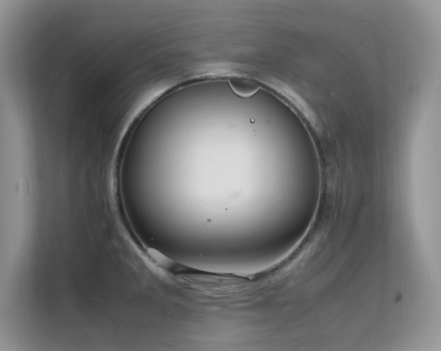 X0000112151285200908071108