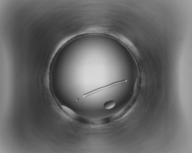 X0000112151288200908071108