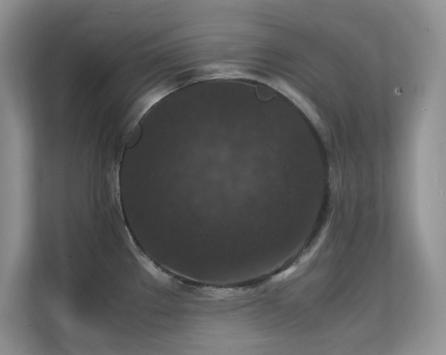 X0000112151289200908071108