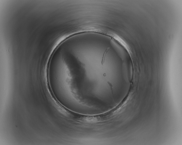 X0000112151291200908071108
