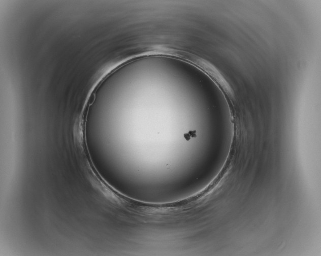 X0000112151292200908071108