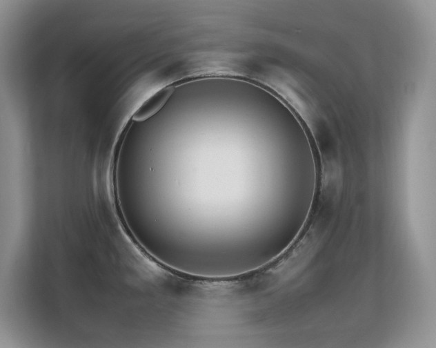 X0000112151293200908071108